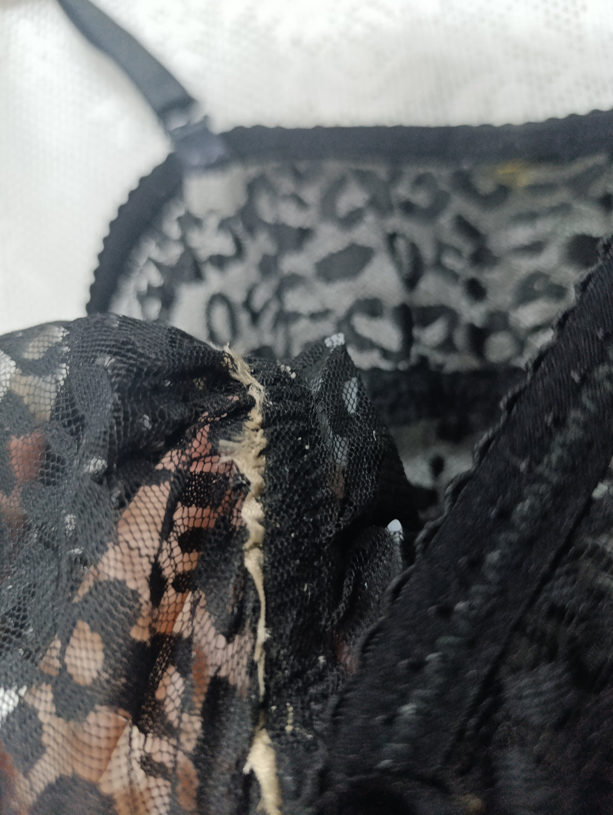 Leopard Lace Slip Dress ₍^. .^₎⟆